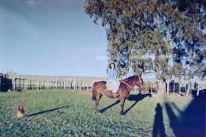 yo-elijo-caballo